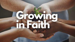 Growing in Faith 2 Thessalonians 1:3 Amplified Bible, Classic Edition