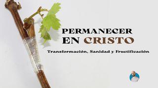 Permaneciendo en Cristo: Transformación, Sanidad y Fructificación Gálatas 2:20 La Biblia: La Palabra de Dios para todos