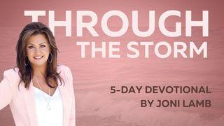 Through the Storm Acts 27:25 English Standard Version 2016