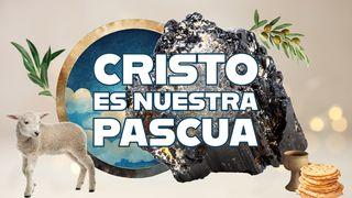 Cristo es nuestra Pascua  Mateo 27:45-50 Nueva Versión Internacional - Español