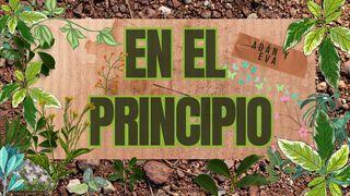 En El Principio Génesis 1:26-28 Nueva Versión Internacional - Español