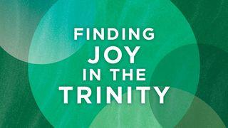 Finding Joy in the Trinity Deuteronomy 6:4-8 New International Version