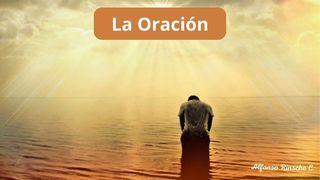 La Oración Mateo 6:10 Nueva Versión Internacional - Español