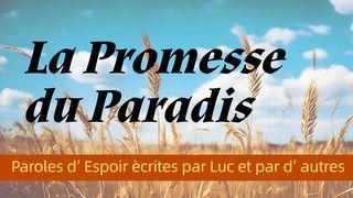 La Promesse du Paradis Éphésiens 2:8-10 Parole de Vie 2017