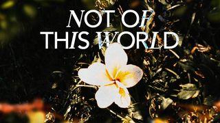 Not of This World 1 Peter 3:1-8 English Standard Version 2016