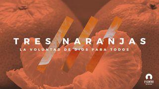 Tres Naranjas: La Voluntad De Dios Para Todos 1 Timoteo 2:5-6 Nueva Versión Internacional - Español