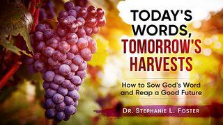Today's Words, Tomorrow's Harvests San Mateo 12:37 Reina Valera Contemporánea
