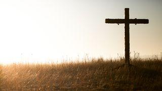 Love to the Uttermost: Holy Week with John Piper Matthew 12:18 King James Version