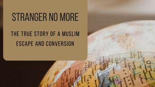Stranger No More Hebrews 4:13 New International Version