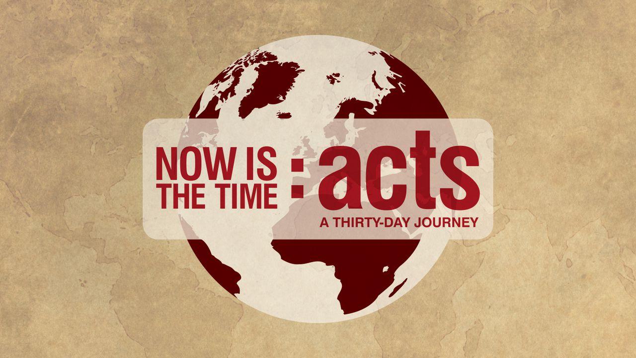 Now Is The Time: Acts Adult Journey