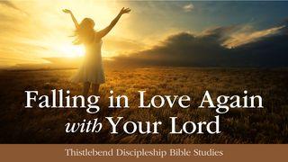 Falling in Love Again With Your Lord Exodus 15:13 New King James Version