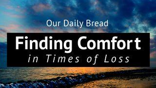 Nuestro pan diario: Cómo encontrar consuelo en tiempos de pérdida  1 Corintios 15:58 Biblia Reina Valera 1960