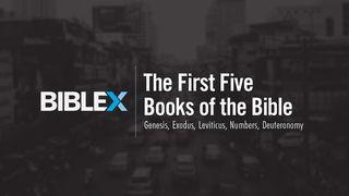 BibleX: The First 5 Books of the Bible  Fyrsta Mósebók 27:28 Biblían (2007)