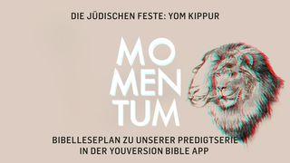 Die jüdischen Feste - Yom Kippur 3. Mose 16:29-30 Elberfelder 1871