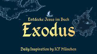 Entdecke Jesus Im Buch Exodus Hebräer 10:2-10 Elberfelder 1871