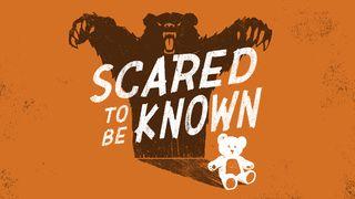 Scared To Be Known Psalms 139:24 New International Version