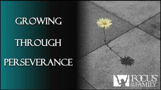 Growing Through Perseverance Matthew 10:42 New International Version