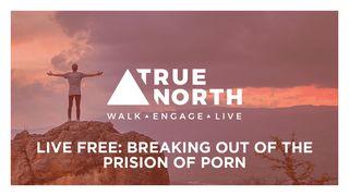 True North: Breaking Out Of The Prison Of Porn Luke 4:12 Amplified Bible, Classic Edition