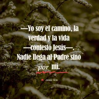 S. Juan 14:6 RVR1960