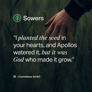 1 Corinthians 3:5-23 - What, after all, is Apollos? And what is Paul? Only servants, through whom you came to believe—as the Lord has assigned to each his task. I planted the seed, Apollos watered it, but God has been making it grow. So neither the one who plants nor the one who waters is anything, but only God, who makes things grow. The one who plants and the one who waters have one purpose, and they will each be rewarded according to their own labor. For we are co-workers in God’s service; you are God’s field, God’s building.
By the grace God has given me, I laid a foundation as a wise builder, and someone else is building on it. But each one should build with care. For no one can lay any foundation other than the one already laid, which is Jesus Christ. If anyone builds on this foundation using gold, silver, costly stones, wood, hay or straw, their work will be shown for what it is, because the Day will bring it to light. It will be revealed with fire, and the fire will test the quality of each person’s work. If what has been built survives, the builder will receive a reward. If it is burned up, the builder will suffer loss but yet will be saved—even though only as one escaping through the flames.
Don’t you know that you yourselves are God’s temple and that God’s Spirit dwells in your midst? If anyone destroys God’s temple, God will destroy that person; for God’s temple is sacred, and you together are that temple.
Do not deceive yourselves. If any of you think you are wise by the standards of this age, you should become “fools” so that you may become wise. For the wisdom of this world is foolishness in God’s sight. As it is written: “He catches the wise in their craftiness”; and again, “The Lord knows that the thoughts of the wise are futile.” So then, no more boasting about human leaders! All things are yours, whether Paul or Apollos or Cephas or the world or life or death or the present or the future—all are yours, and you are of Christ, and Christ is of God.