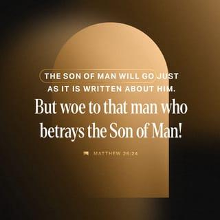 Matthew 26:24 - The Son of Man is to go, just as it is written of Him; but woe to that man by whom the Son of Man is betrayed! It would have been good for that man if he had not been born.”