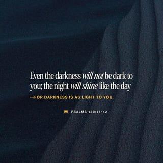 Psalm 139:11-12 - If I say, “Surely the darkness shall cover me,
and the light about me be night,”
even the darkness is not dark to you;
the night is bright as the day,
for darkness is as light with you.