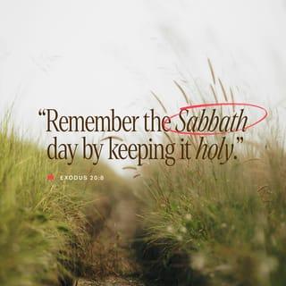 Exodus 20:8-11 - “Remember the Sabbath (seventh) day to keep it holy (set apart, dedicated to God). Six days you shall labor and do all your work, but the seventh day is a Sabbath [a day of rest dedicated] to the LORD your God; on that day you shall not do any work, you or your son, or your daughter, or your male servant, or your female servant, or your livestock or the temporary resident (foreigner) who stays within your [city] gates. For in six days the LORD made the heavens and the earth, the sea and everything that is in them, and He rested (ceased) on the seventh day. That is why the LORD blessed the Sabbath day and made it holy [that is, set it apart for His purposes].