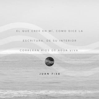 San Juan 7:38 - Del interior del que cree en mí, correrán ríos de agua viva, como dice la Escritura.»