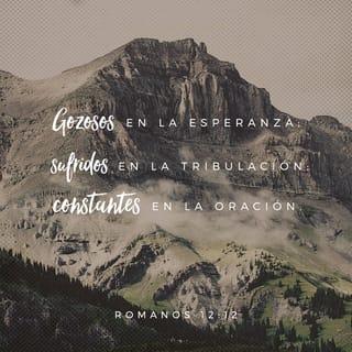 Romanos 12:12 RVR1960