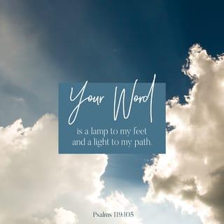 Psalms 119:105-108 - Your word is a lamp to my feet
And a light to my path.
I have sworn and confirmed
That I will keep Your righteous judgments.
I am afflicted very much;
Revive me, O LORD, according to Your word.
Accept, I pray, the freewill offerings of my mouth, O LORD,
And teach me Your judgments.