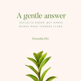 Proverbs 15:1 - A soft answer turneth away wrath:
But grievous words stir up anger.