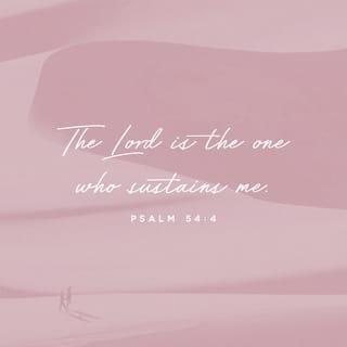 Psalms 54:4 - Surely God is my help;
the Lord is the one who sustains me.