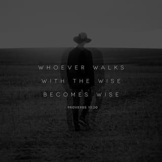 Proverbs 13:20 - Whoever walks with the wise becomes wise,
but the companion of fools will suffer harm.