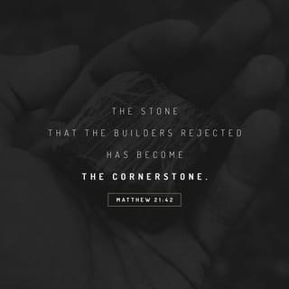Matthew 21:42 - Jesus said to them, “Have you never read in the Scriptures:
“‘The stone that the builders rejected
has become the cornerstone;
this was the Lord’s doing,
and it is marvelous in our eyes’?