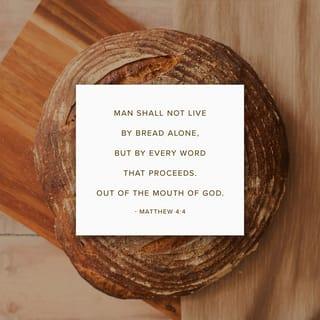 Matthew 4:4 - But he answered and said, It is written, Man shall not live by bread alone, but by every word that proceedeth out of the mouth of God.