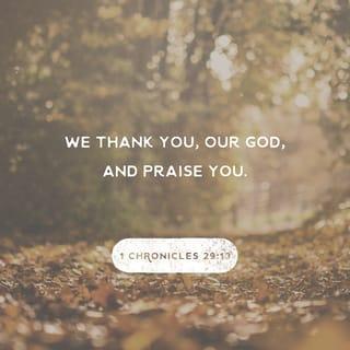 1 Chronicles 29:13 - And now we thank you, our God, and praise your glorious name.