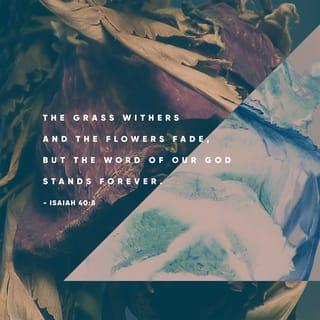 Isaiah 40:8 - The grass withers and the flowers fall,
but the word of our God endures for ever.’