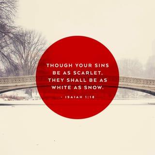 Isaiah 1:18 - Come now, and let us reason together, saith the LORD: though your sins be as scarlet, they shall be as white as snow; though they be red like crimson, they shall be as wool.