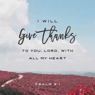 Psalms 9:1-2 - I will give thanks to you, LORD, with all my heart;
I will tell of all your wonderful deeds.
I will be glad and rejoice in you;
I will sing the praises of your name, O Most High.