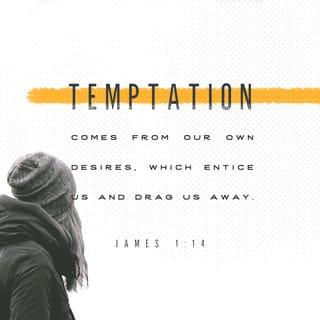 James 1:14-15 - but each person is tempted when they are dragged away by their own evil desire and enticed. Then, after desire has conceived, it gives birth to sin; and sin, when it is full-grown, gives birth to death.