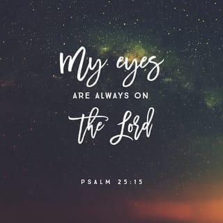 Psalms 25:15 - My eyes are ever on the LORD,
for only he will release my feet from the snare.