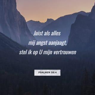 Psalmen 56:4 HTB