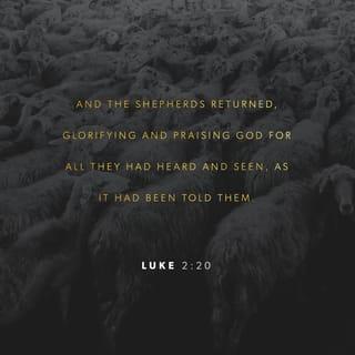 Luke 2:20 - The shepherds went back to their flocks, glorifying and praising God for all they had heard and seen. It was just as the angel had told them.