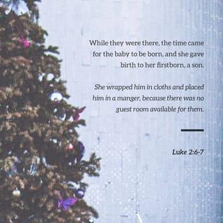 Luke 2:7 - and she gave birth to her firstborn, a son. She wrapped him in cloths and placed him in a manger, because there was no guest room available for them.