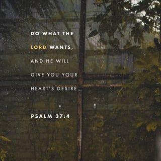 Psalms 37:4 - Delight yourself in the LORD;
And He will give you the desires of your heart.