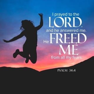 Psalms 34:4 - I prayed to the LORD, and he answered me.
He freed me from all my fears.