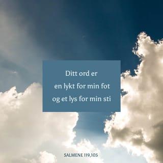 Salmene 119:105 NB