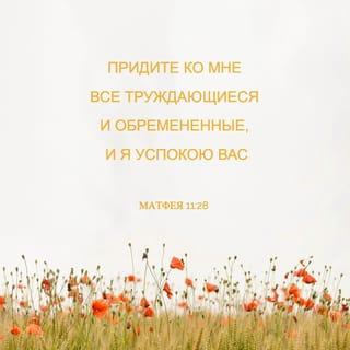 От Матфея святое благовествование 11:27-30 SYNO