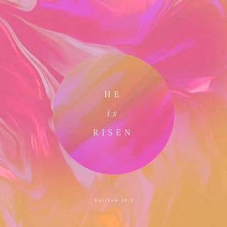 Matthew 28:6 - He is not here; He has risen, as He said [He would do]. Come, see the place where He lay.