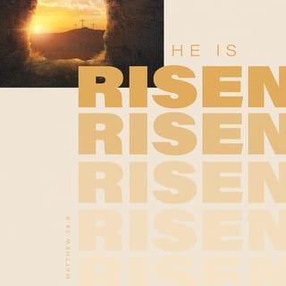 Matthew 28:6-7 - He is not here: for he is risen, as he said. Come, see the place where the Lord lay. And go quickly, and tell his disciples that he is risen from the dead; and, behold, he goeth before you into Galilee; there shall ye see him: lo, I have told you.